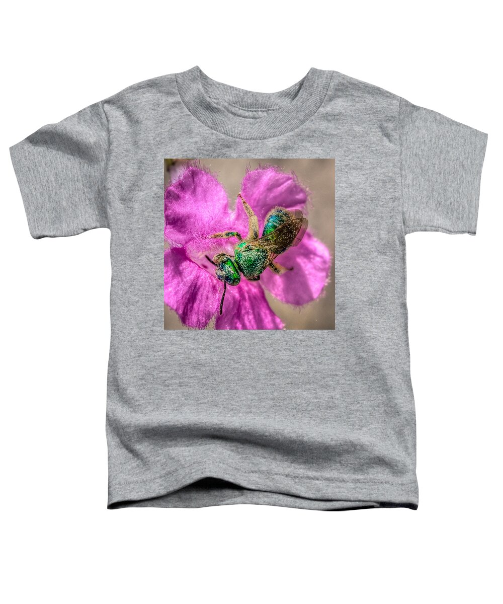 Antenna Toddler T-Shirt featuring the photograph Agapostemon texanus by Rob Sellers