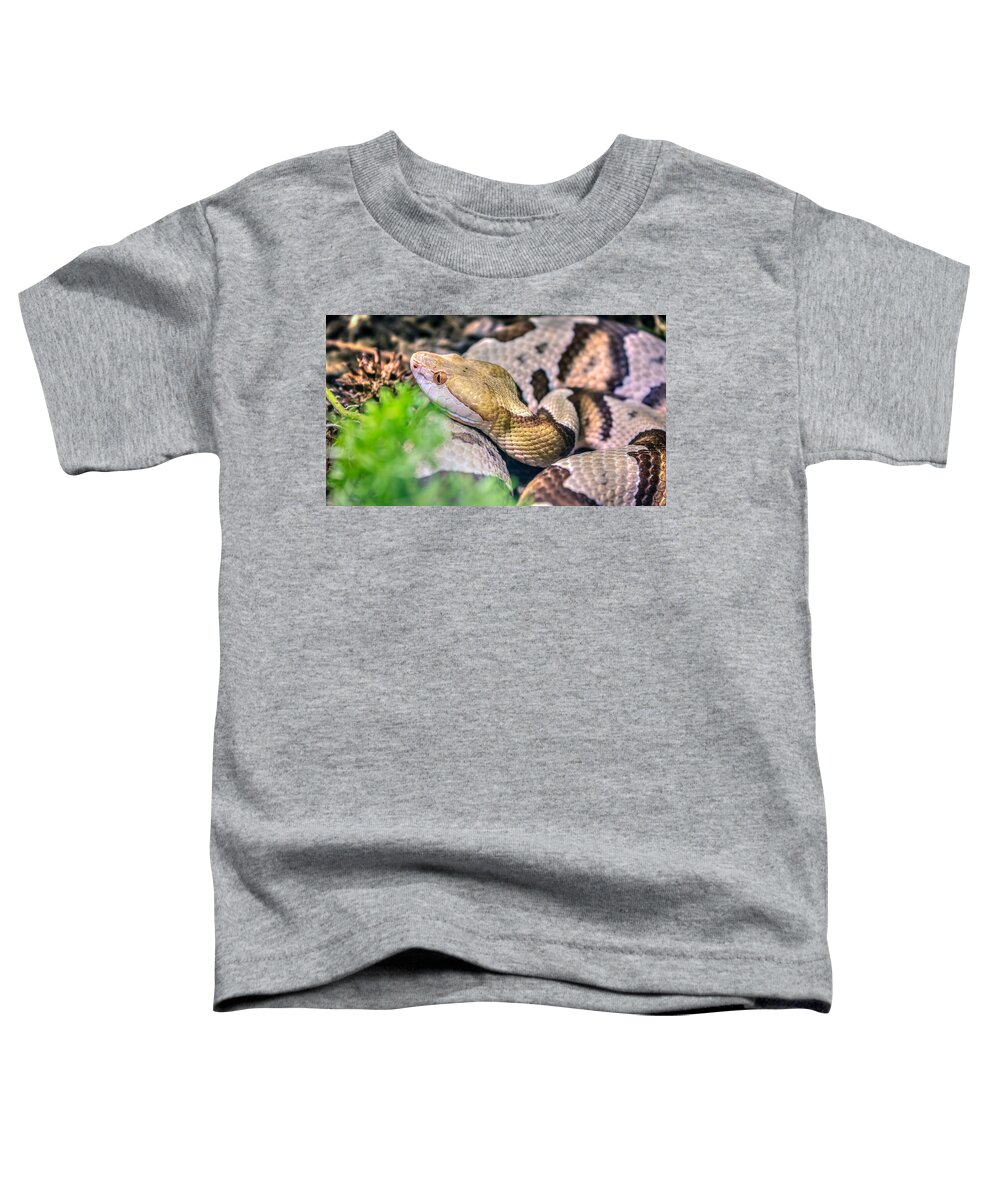 Agkistrodon Toddler T-Shirt featuring the photograph Agkistrodon contortrix by Traveler's Pics