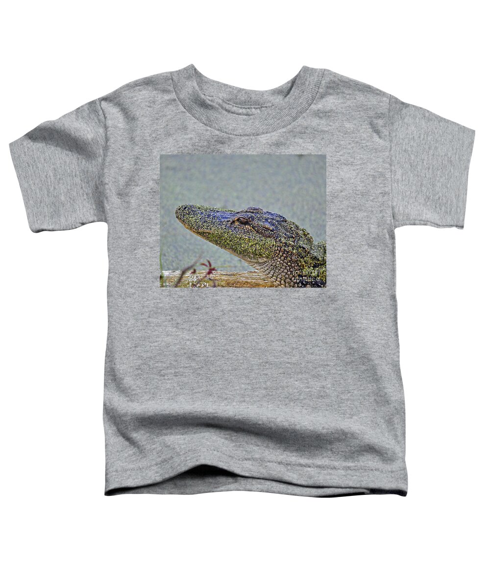 Alligator Toddler T-Shirt featuring the photograph Algae Gator by Al Powell Photography USA