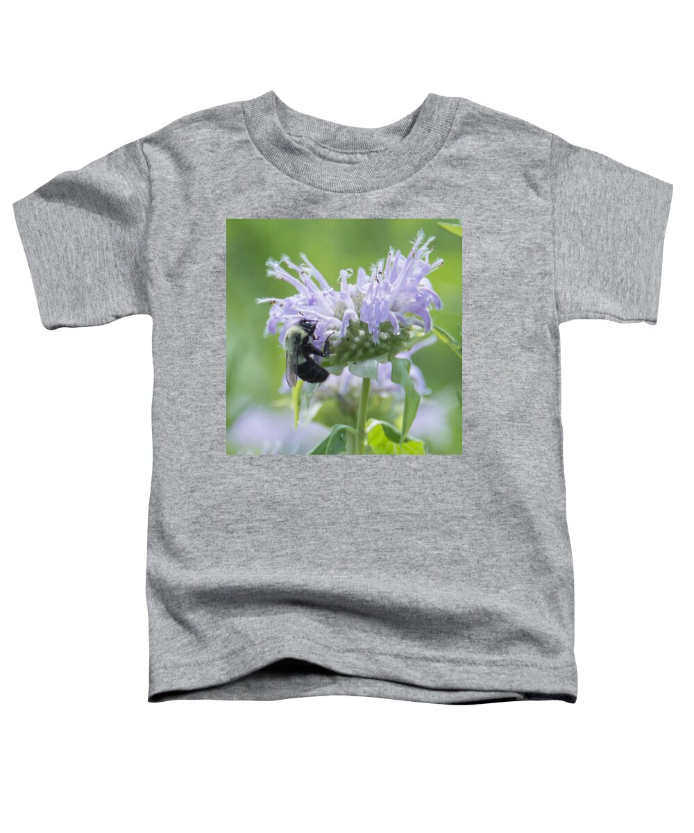 Fdr Toddler T-Shirt featuring the photograph Almost There by Theodore Jones
