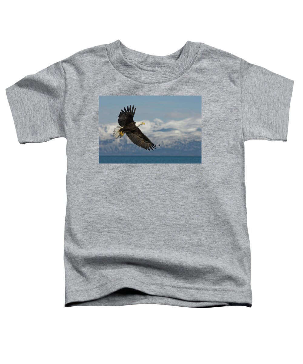 Alaska Toddler T-Shirt featuring the photograph American Bald Eagle In Flight by Cary Anderson