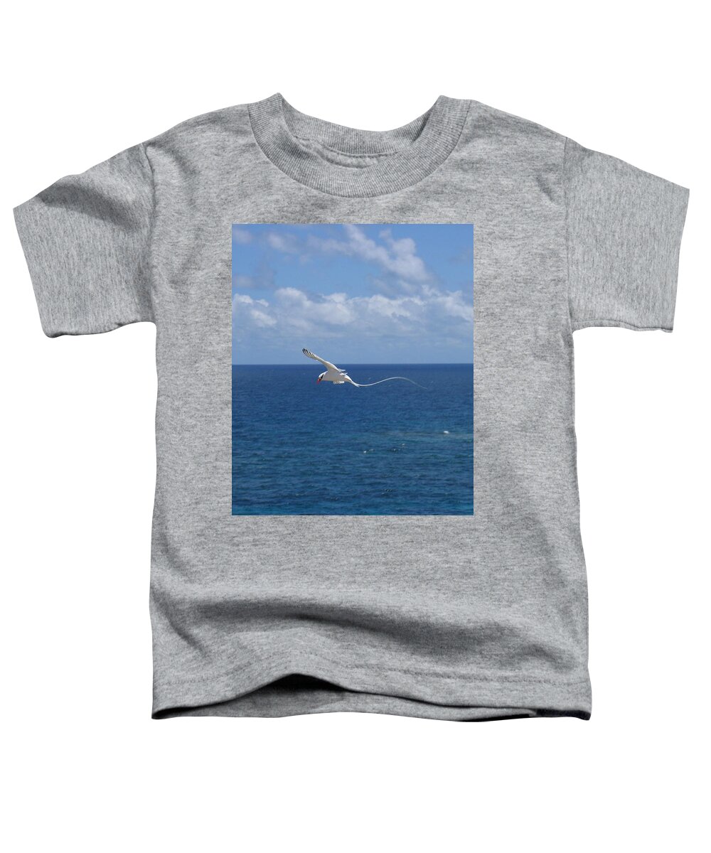 Seabird Toddler T-Shirt featuring the photograph Antigua - In flight by HEVi FineArt