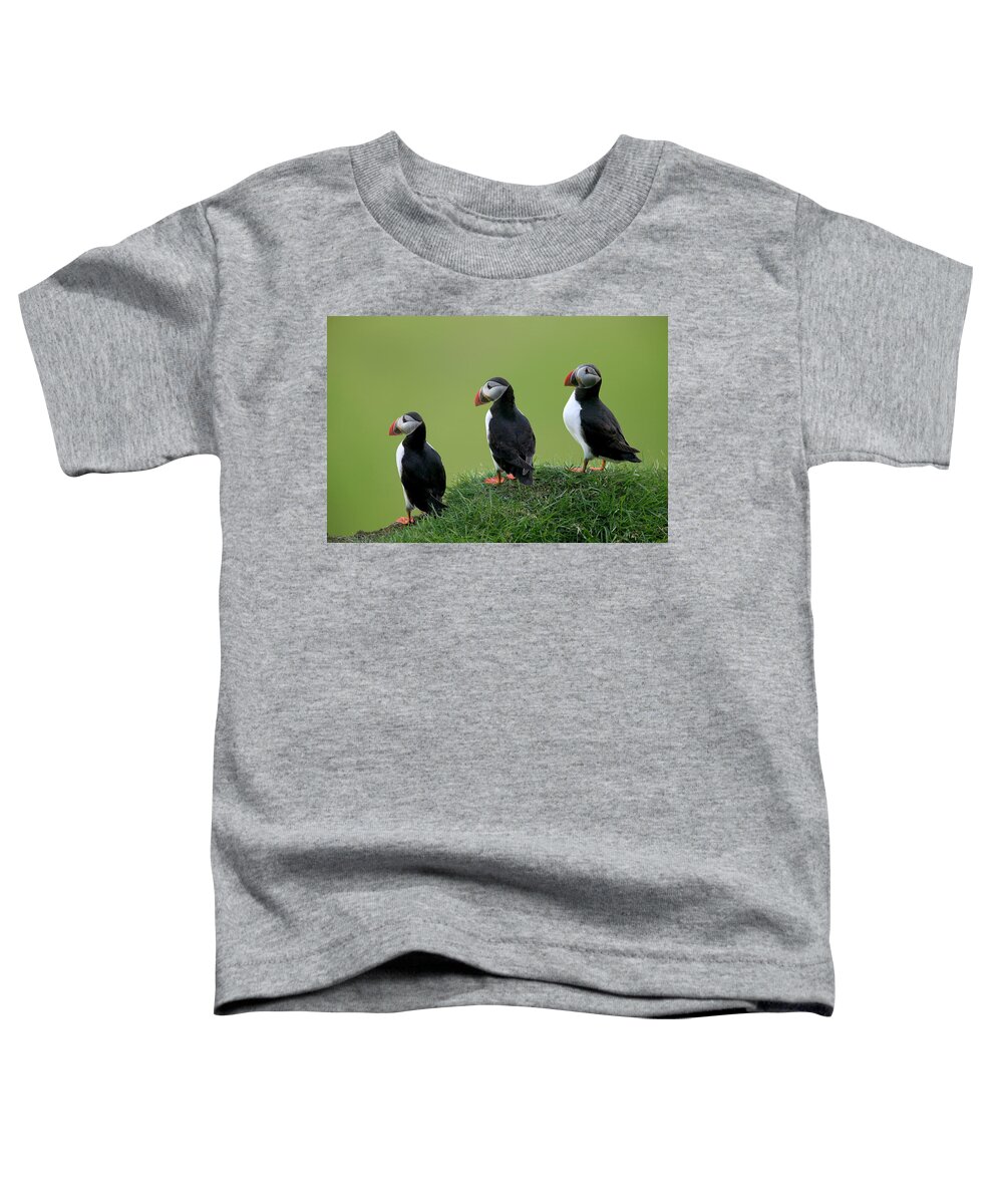 00620956 Toddler T-Shirt featuring the photograph Atlantic Puffin Trio on Cliff by Cyril Ruoso