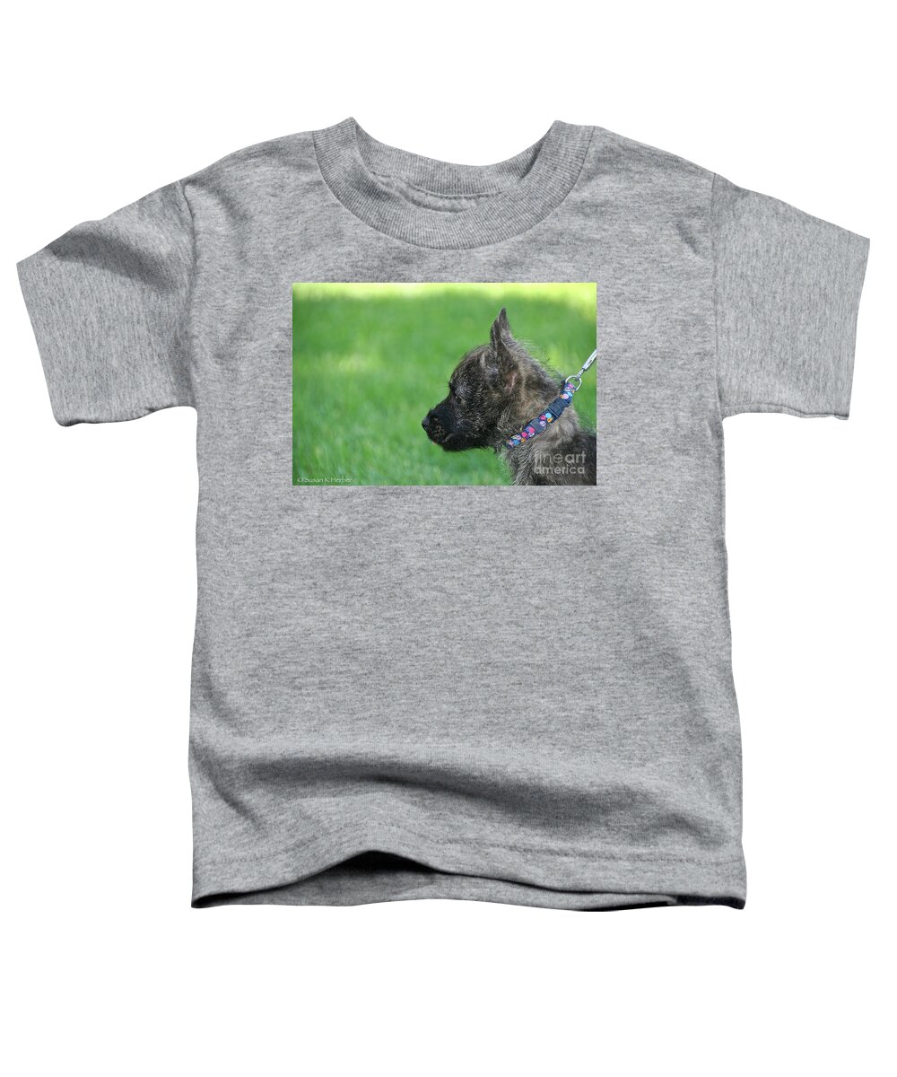 Dog Toddler T-Shirt featuring the photograph Baby Cairn by Susan Herber