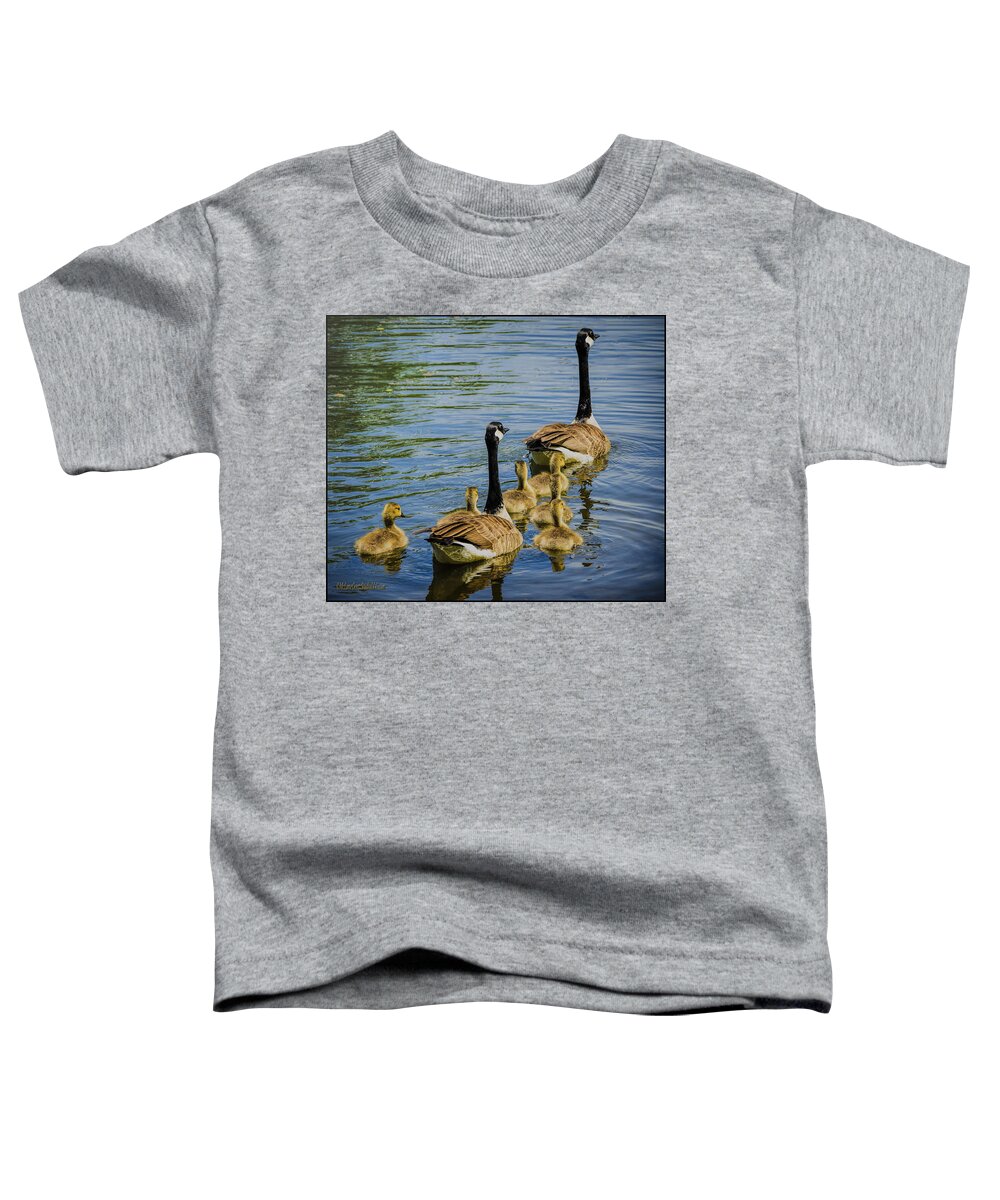 Geese Toddler T-Shirt featuring the photograph Baby Geese by LeeAnn McLaneGoetz McLaneGoetzStudioLLCcom