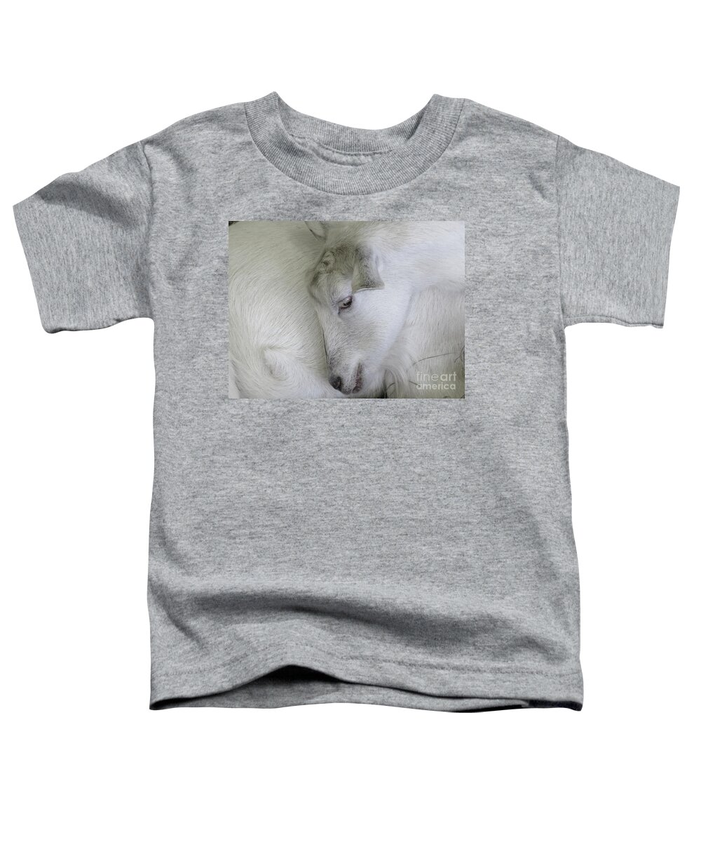 Goat Toddler T-Shirt featuring the photograph Baby Goats by Ann Horn
