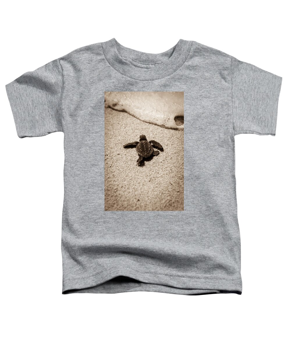 Baby Loggerhead Toddler T-Shirt featuring the photograph Baby Sea Turtle by Sebastian Musial