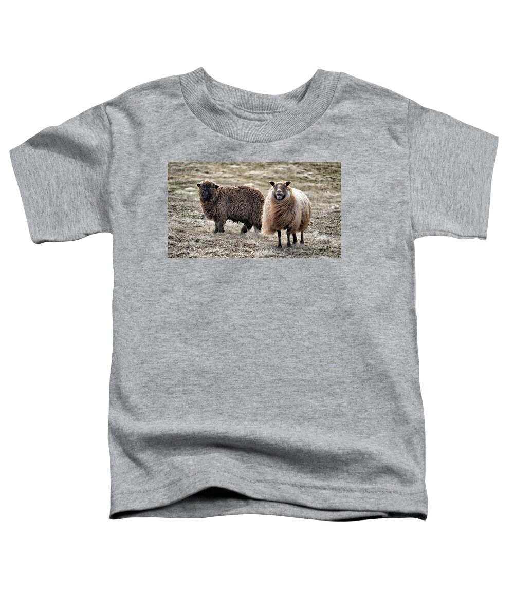 Animal Toddler T-Shirt featuring the mixed media Bahahaha by Trish Tritz
