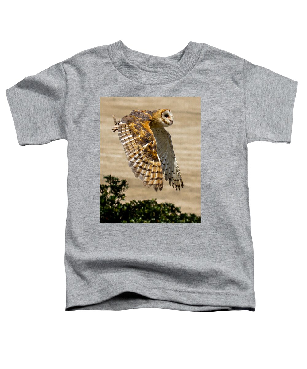 Barn Owl Toddler T-Shirt featuring the photograph Barn Owl by Robert L Jackson