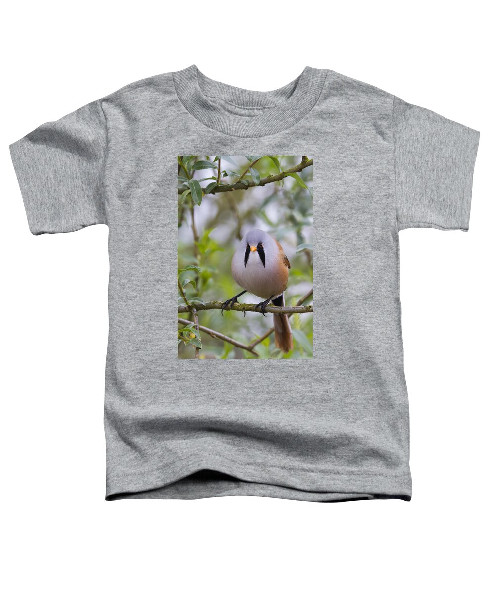 Bearded Tit Toddler T-Shirt featuring the photograph Bearded Tit - 5 by Chris Smith