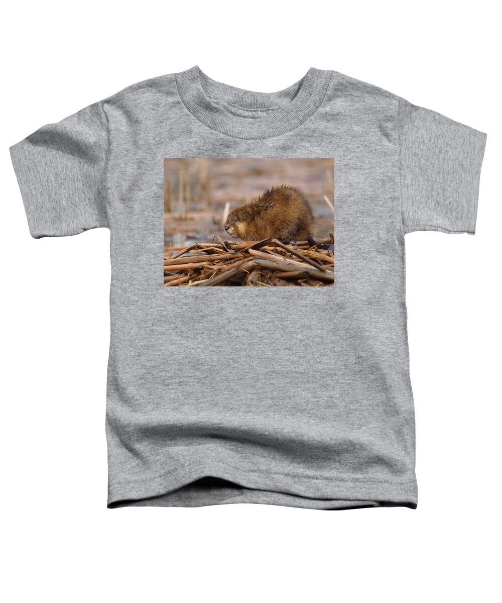 Nature Toddler T-Shirt featuring the photograph Beautiful Muskrat by James Peterson