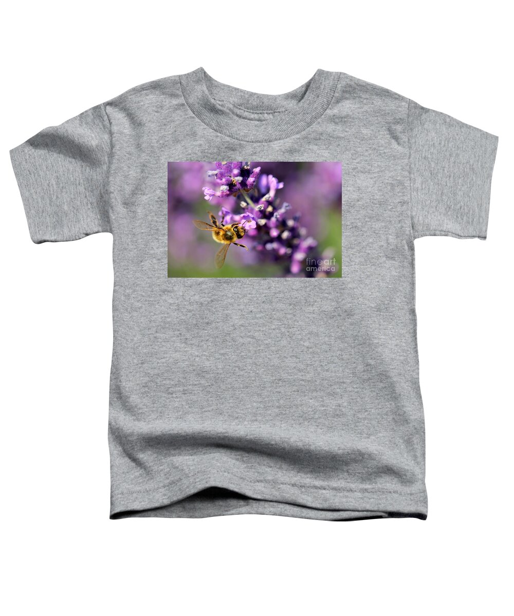 Bee Toddler T-Shirt featuring the photograph Bee on the Lavender Branch by Amanda Mohler