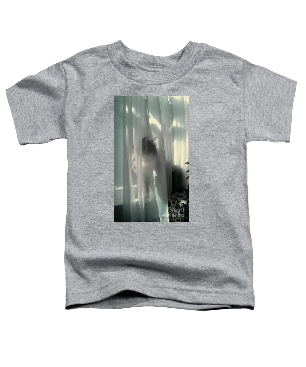 Maine Coon Toddler T-Shirt featuring the photograph Behind The Curtain by Jacqueline McReynolds