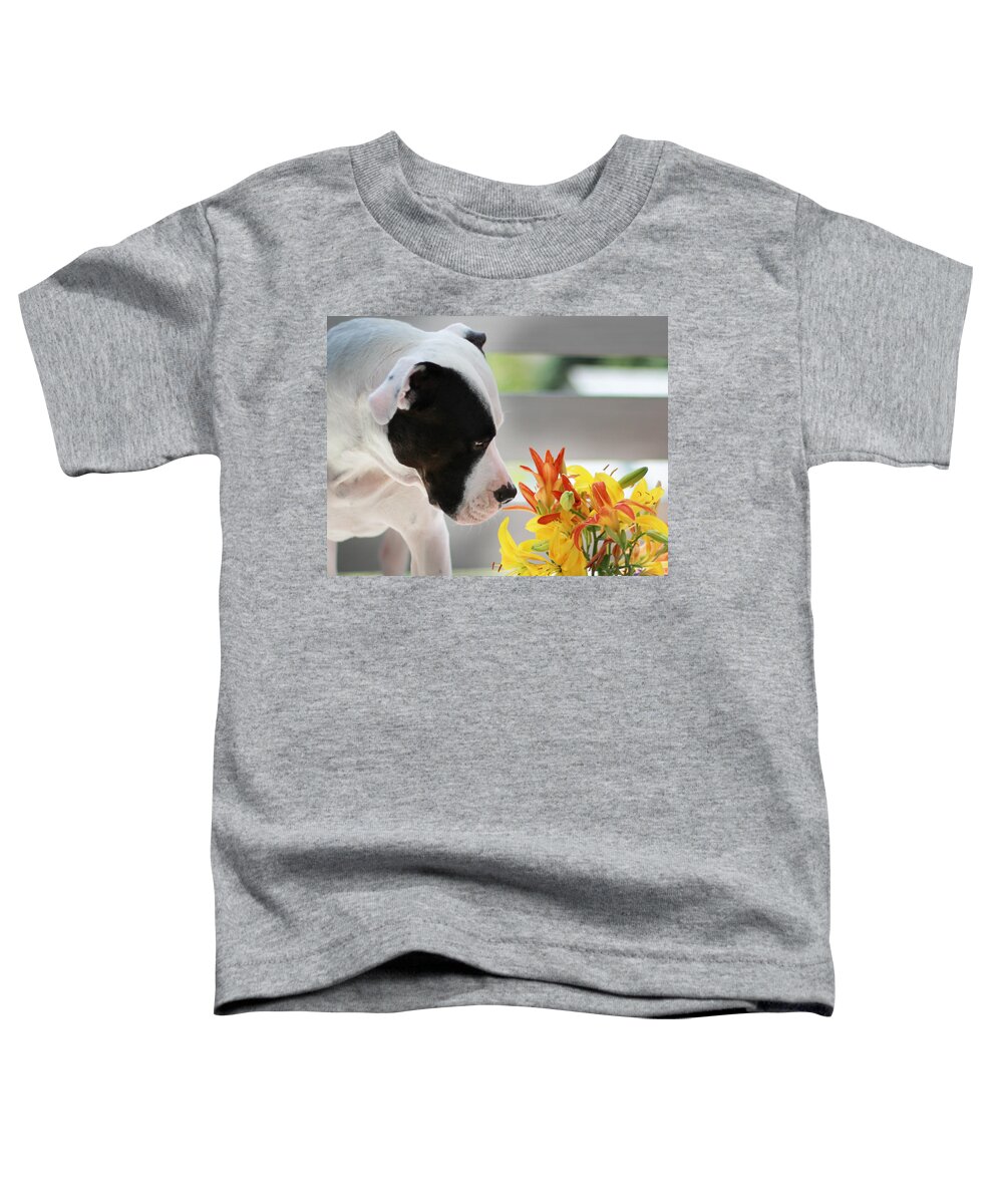 Bubba Toddler T-Shirt featuring the photograph Birthday Bouquet by Shelley Neff