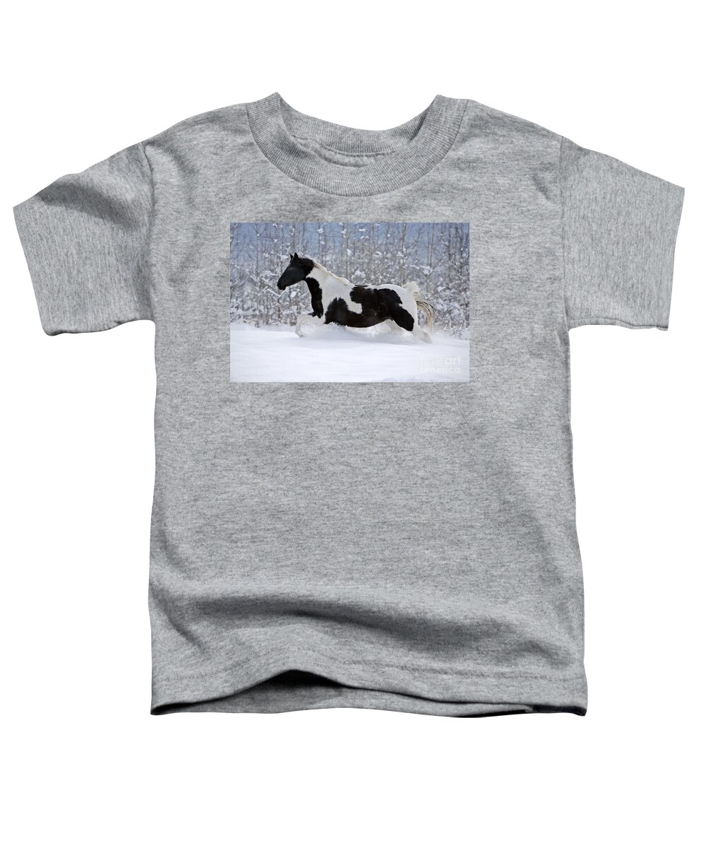 Black And White Toddler T-Shirt featuring the photograph Black And White Paint Horse In Snow by Rolf Kopfle