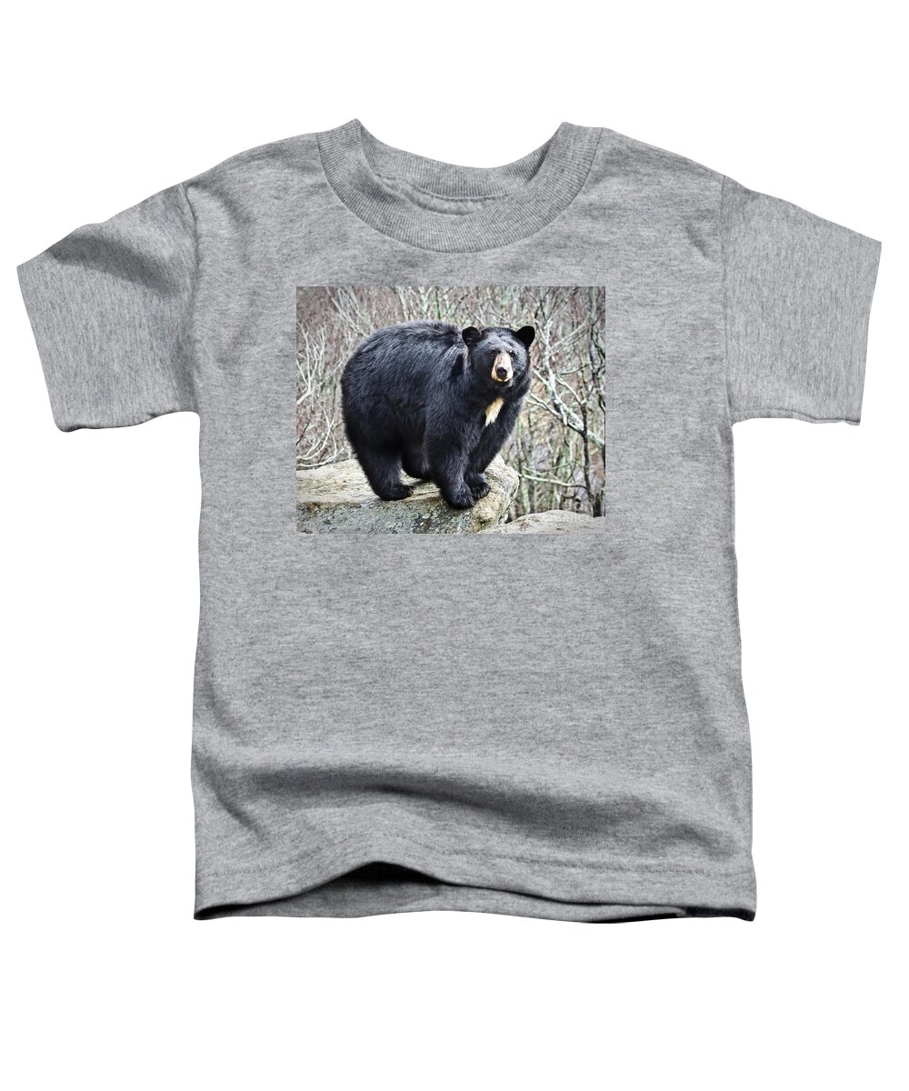 Black Bear Toddler T-Shirt featuring the photograph Black Bear by Ronald Lutz