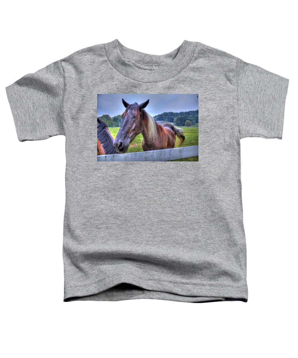 Horse Toddler T-Shirt featuring the photograph Black horse at a fence by Jonny D