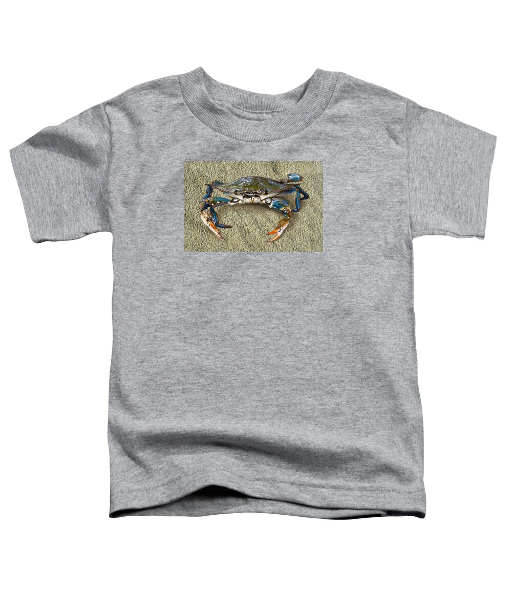 Blue Crab Toddler T-Shirt featuring the photograph Blue Crab Confrontation by Sandi OReilly