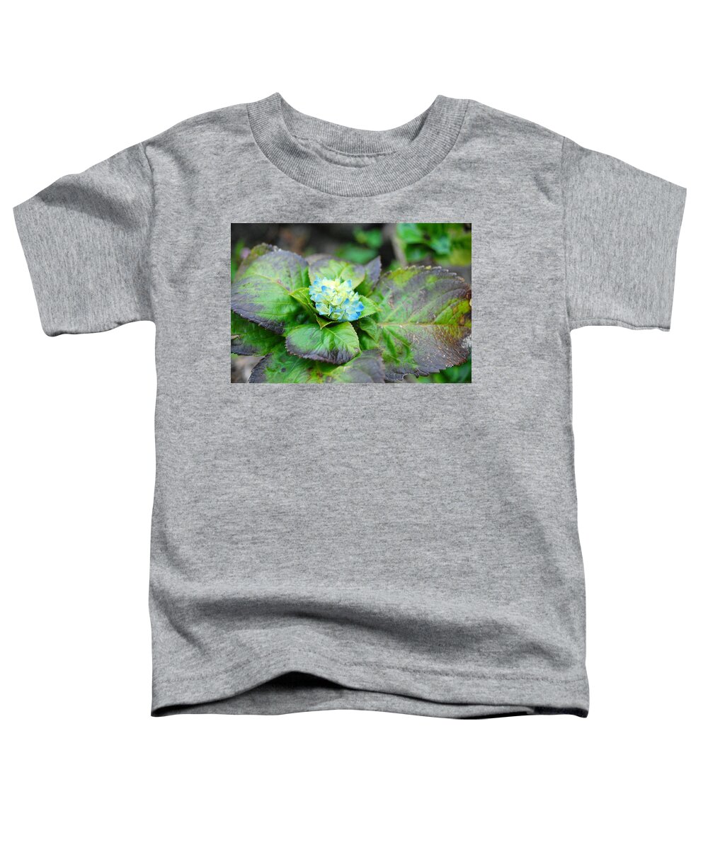 Flower Toddler T-Shirt featuring the photograph Blue Hydrangea Buds by Amy Fose
