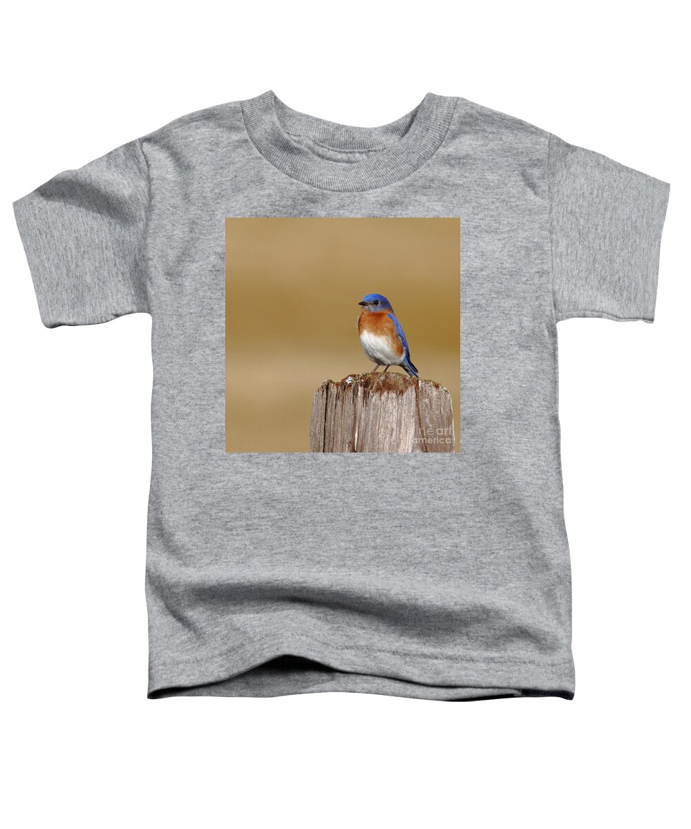 Animal Toddler T-Shirt featuring the photograph Bluebird At His Post by Robert Frederick