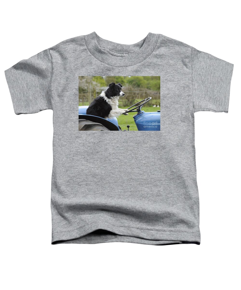 Dog Toddler T-Shirt featuring the photograph Border Collie On Tractor by John Daniels