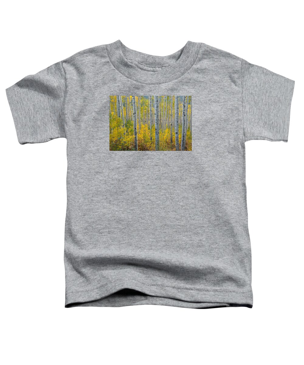 Forest Toddler T-Shirt featuring the photograph Brilliant Colors of the Autumn Aspen Forest by Cascade Colors