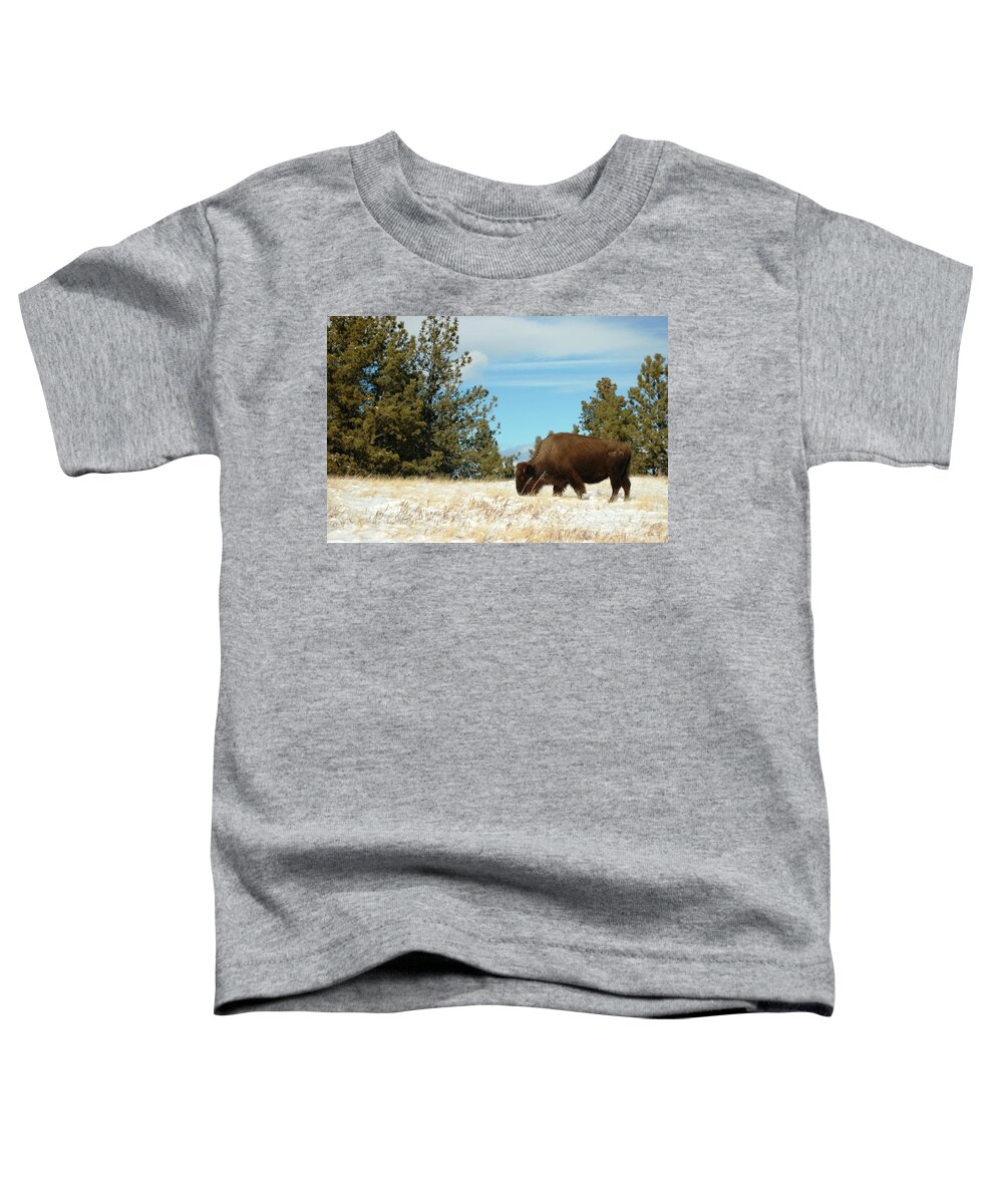 Dakota Toddler T-Shirt featuring the photograph Buffalo Grazing by Greni Graph
