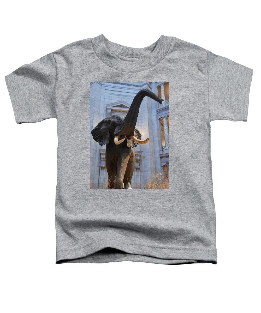 Bull Elephant Toddler T-Shirt featuring the photograph Bull Elephant in Natural History Rotunda by Kenny Glover