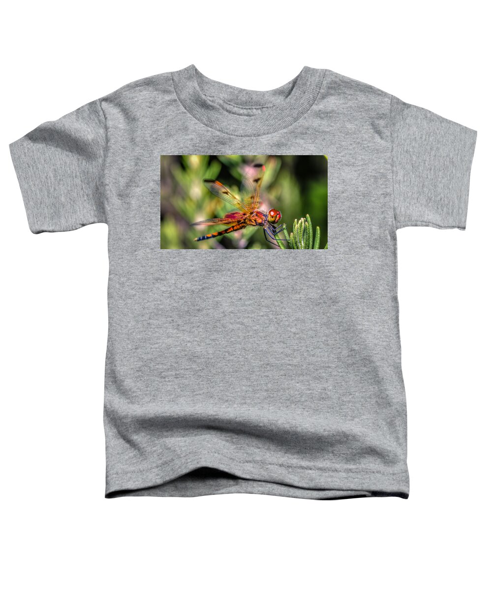 Wildlife Toddler T-Shirt featuring the photograph Calico Pennant by Rob Sellers
