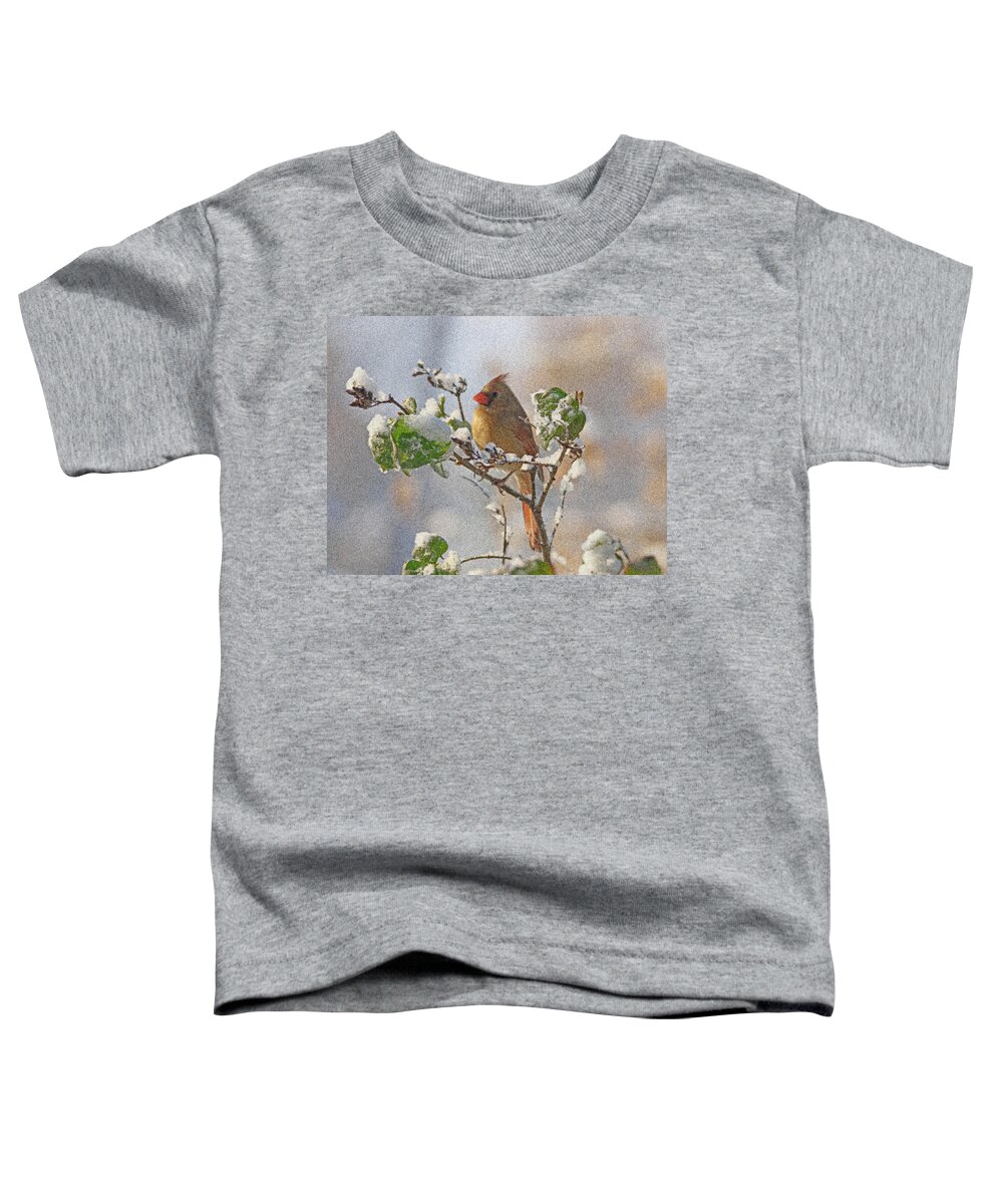 Cardinal Toddler T-Shirt featuring the photograph Cardinal on Snowy Branch by Sandy Keeton