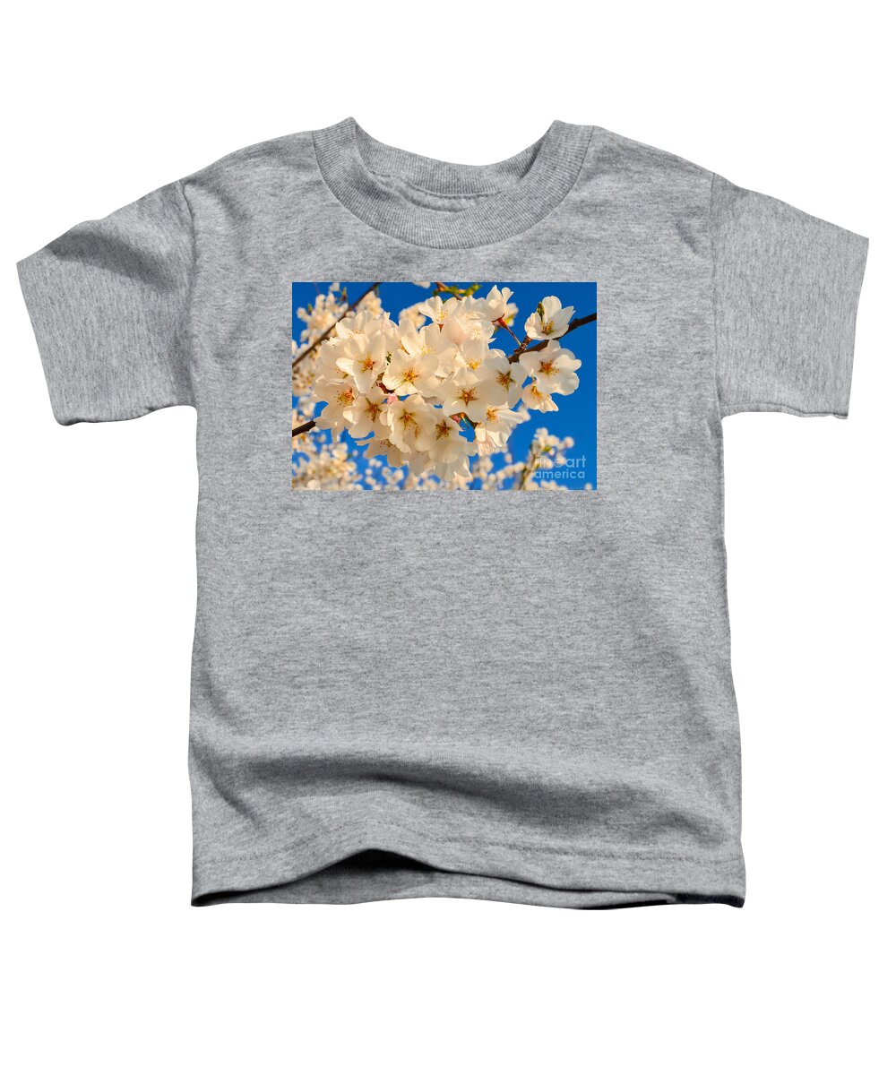 2012 Centennial Celebration Toddler T-Shirt featuring the photograph Cherry Blossom Macro by Jeff at JSJ Photography