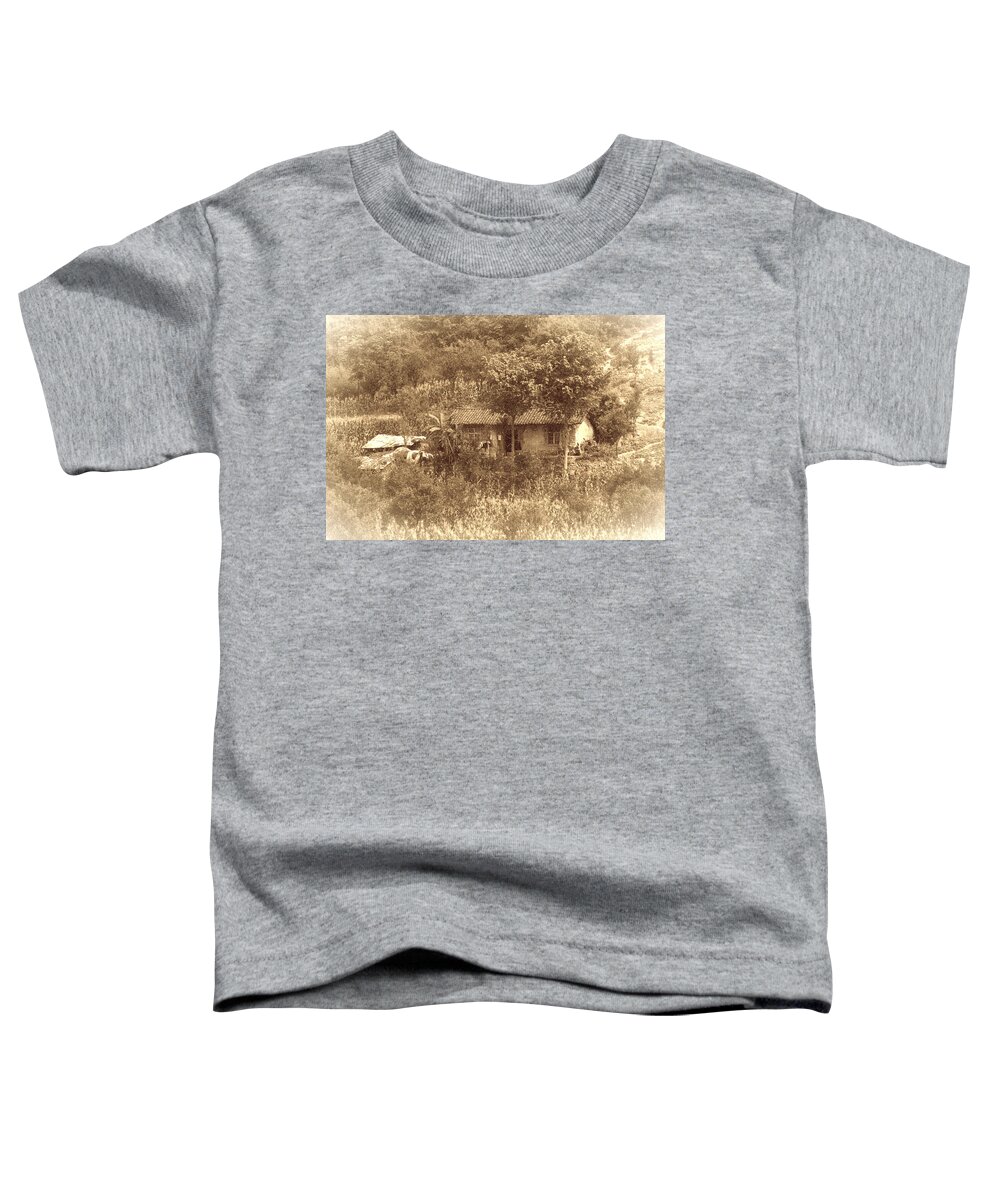 Chinese House Toddler T-Shirt featuring the photograph Chinese house by Tracy Winter