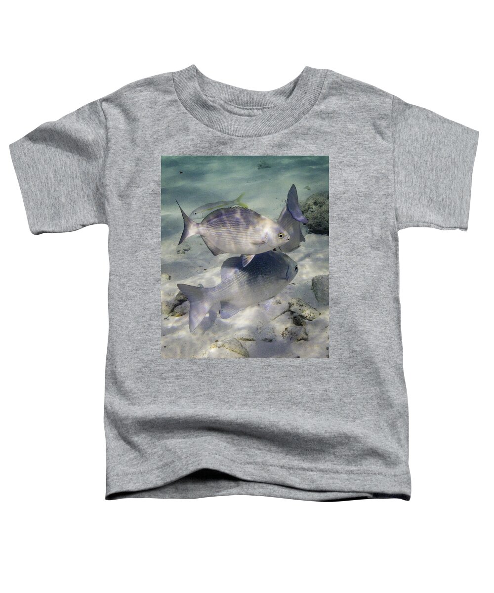 Fish Toddler T-Shirt featuring the photograph Chubbin' Around by Lynne Browne