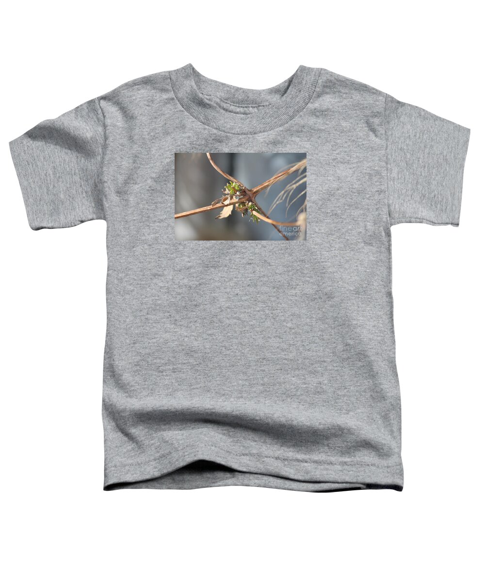 Clematis Toddler T-Shirt featuring the photograph Clematis Vine by Ann E Robson