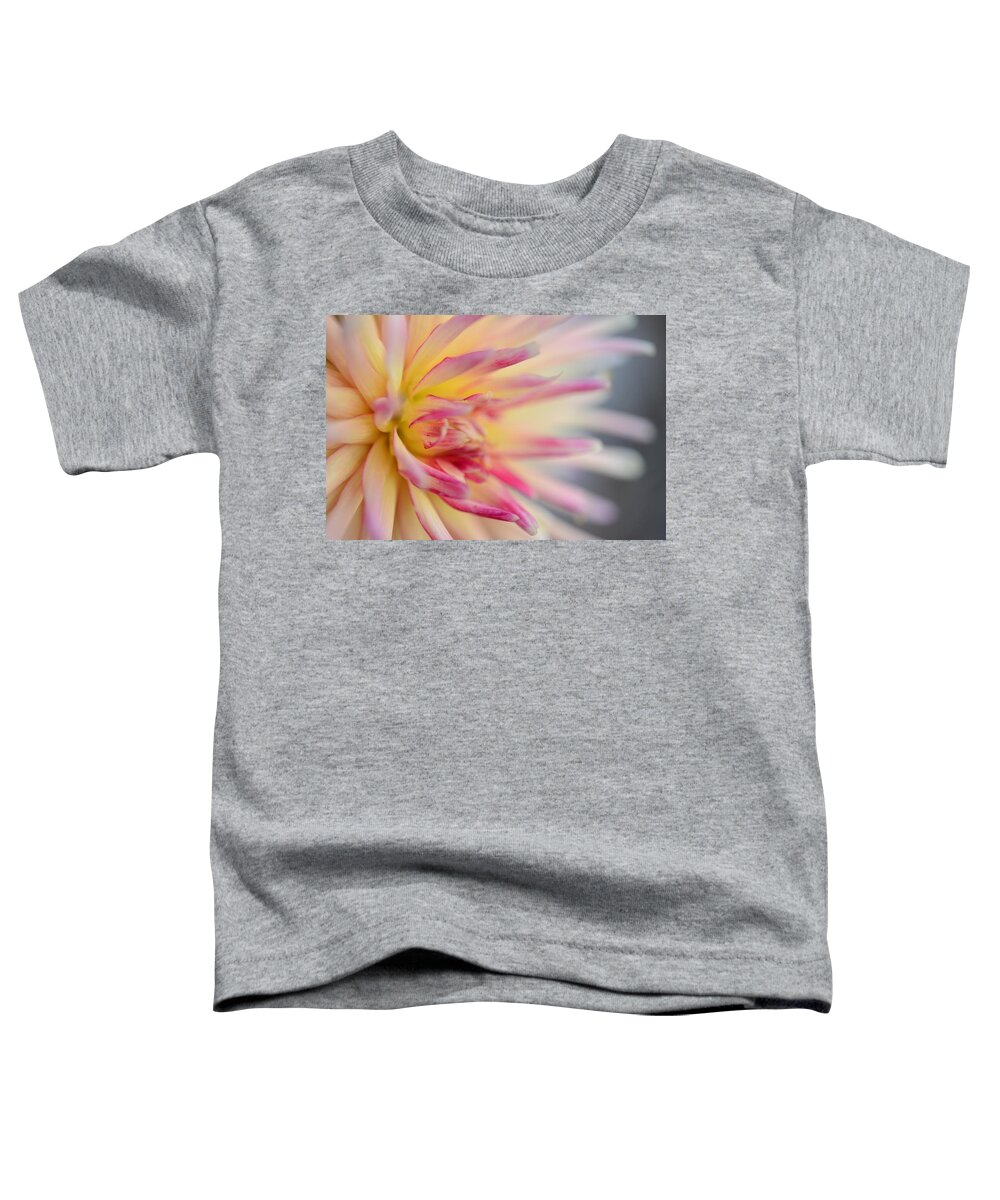 Dahlia Toddler T-Shirt featuring the photograph Cliff's Dahlia by Kathy Paynter
