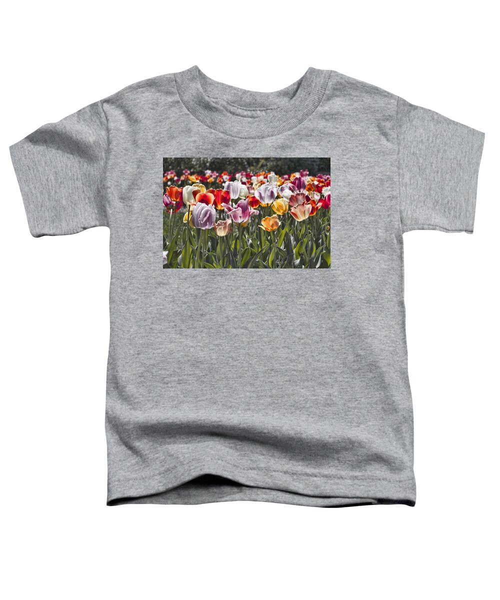 Tulip Toddler T-Shirt featuring the photograph Colorful Tulips in the Sun by Sharon Popek