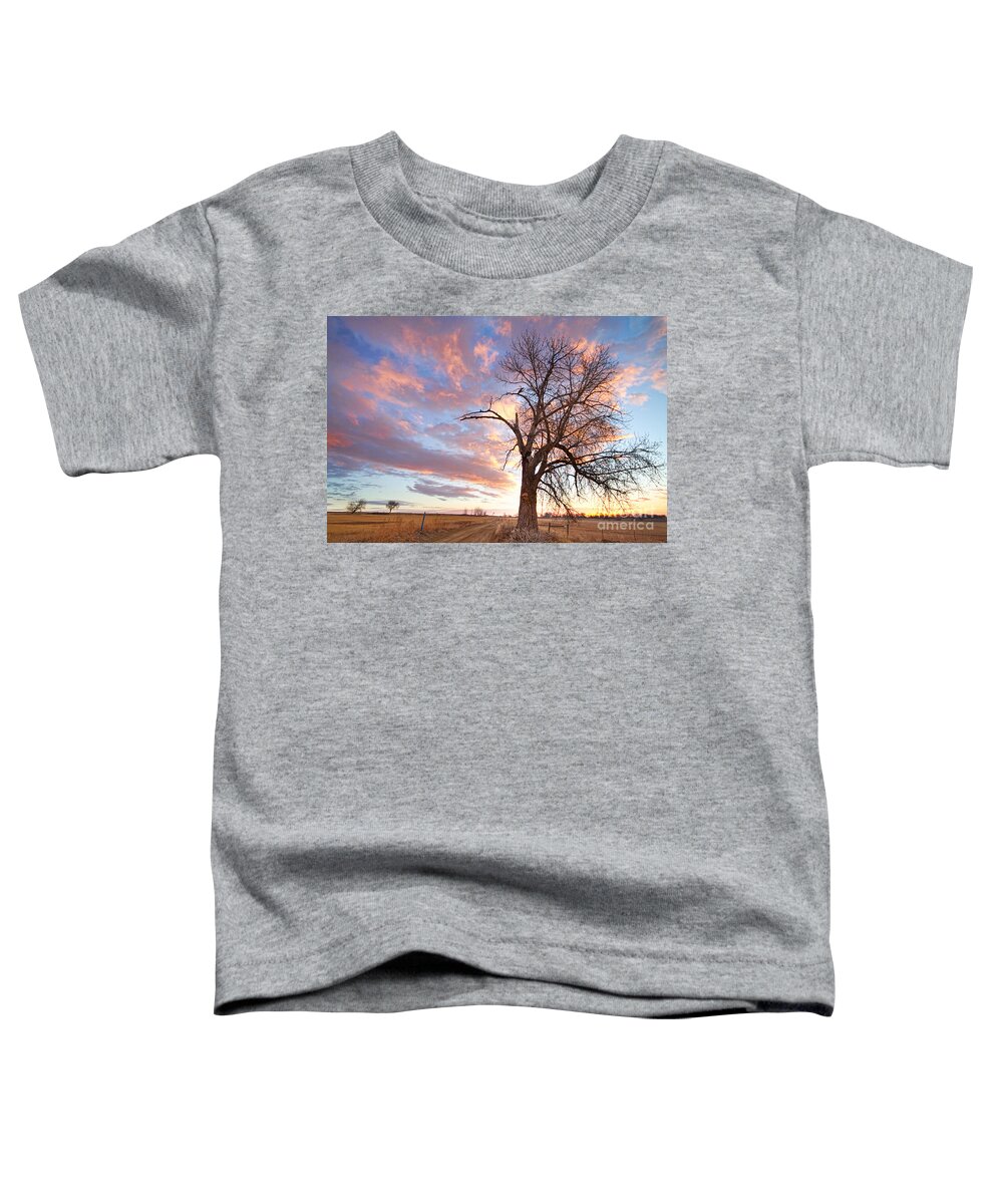 Sunrise Toddler T-Shirt featuring the photograph Country Morning High by James BO Insogna