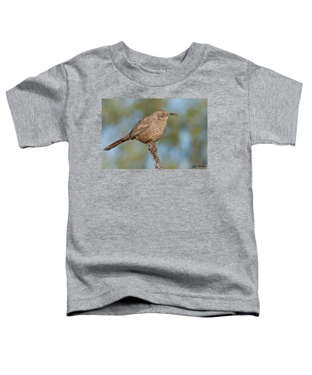 Animal Toddler T-Shirt featuring the photograph Curve-Billed Thrasher by Jeff Goulden
