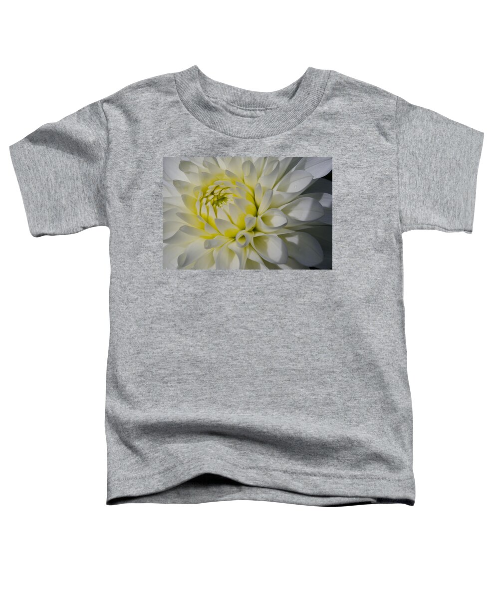 Dahlia Toddler T-Shirt featuring the photograph Dahlia Glow by Kathy Paynter