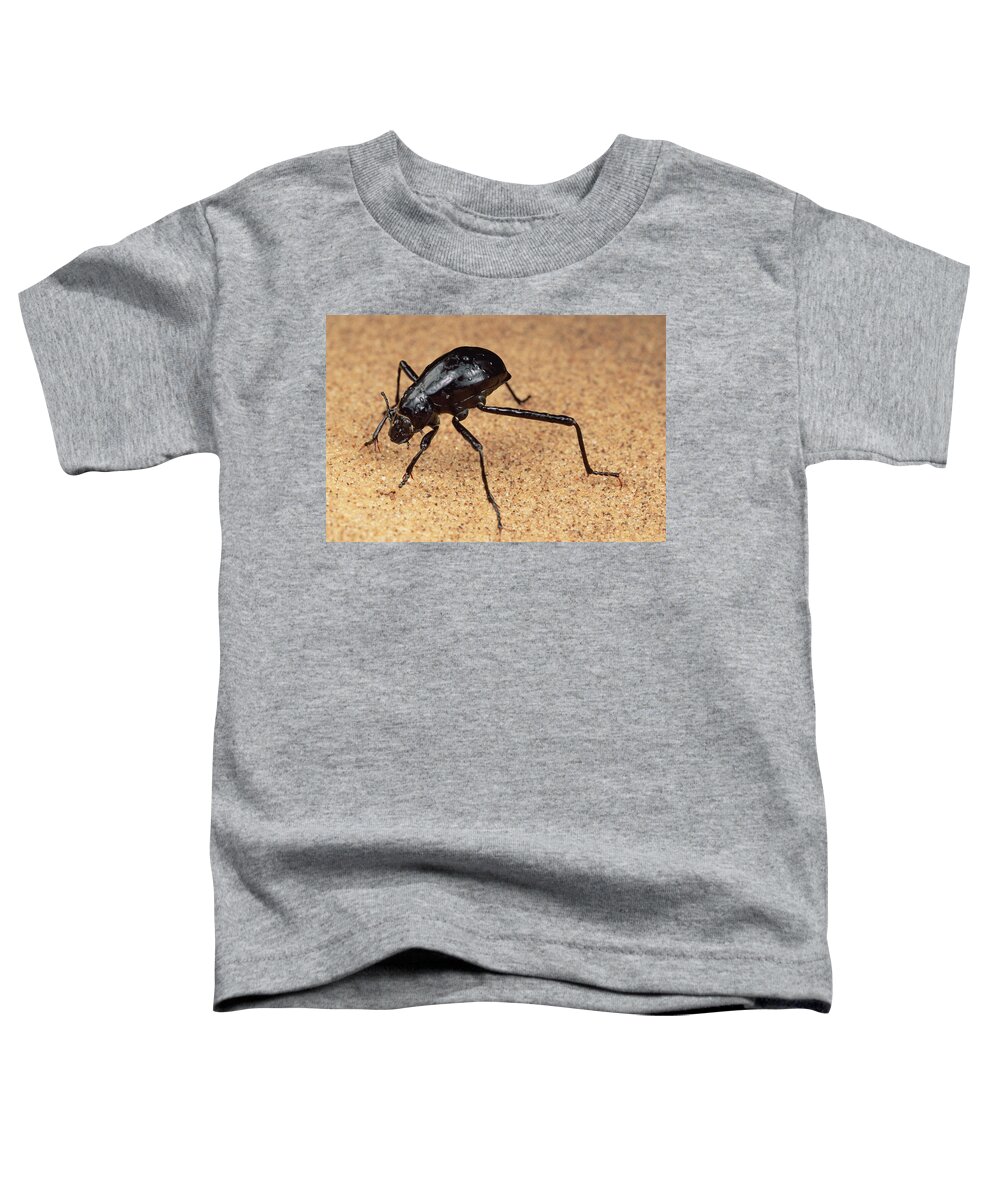 Feb0514 Toddler T-Shirt featuring the photograph Darkling Beetle Bends Down To Drink Dew by Mark Moffett