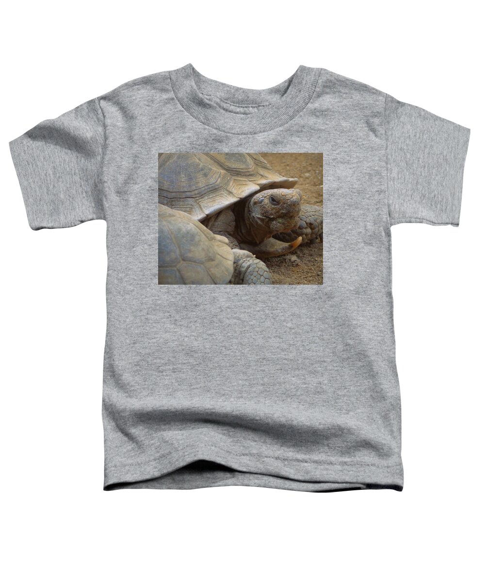 Skompski Toddler T-Shirt featuring the photograph Desert Tortoise by Joseph Skompski