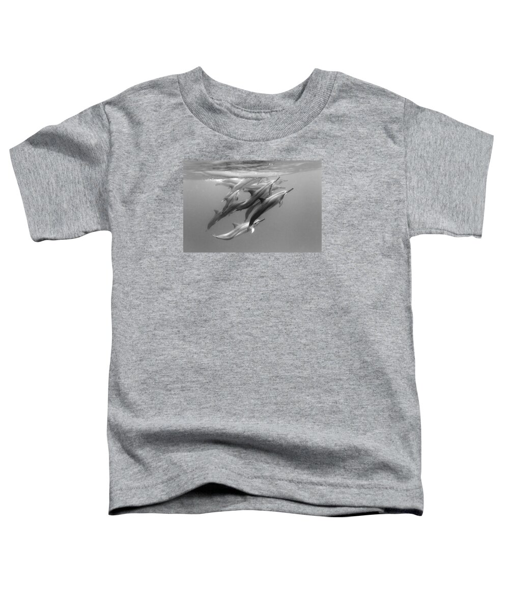 #faatoppicks Toddler T-Shirt featuring the photograph Dolphin Pod by Sean Davey