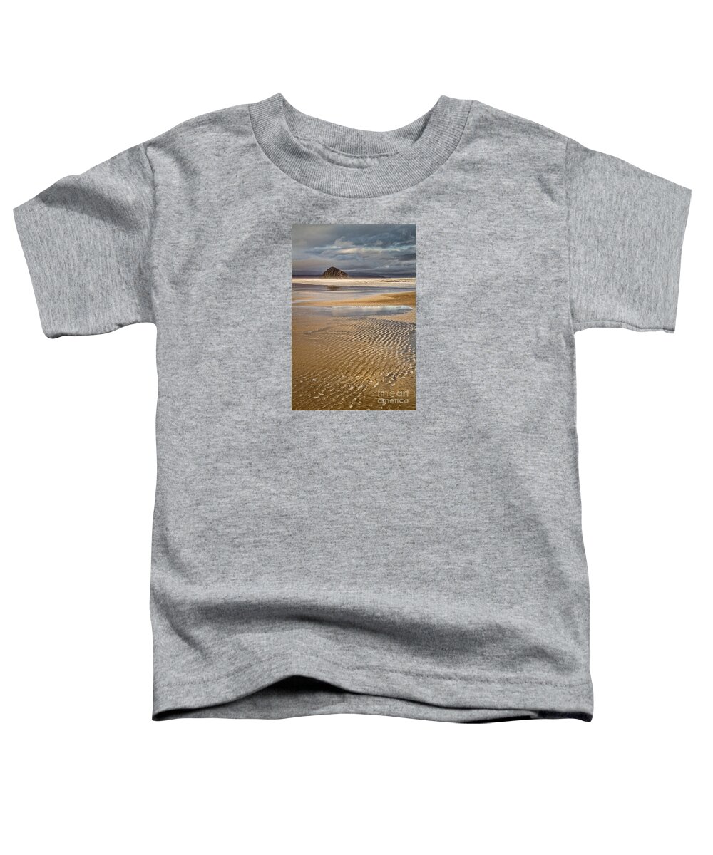 Morro Bay Toddler T-Shirt featuring the photograph Ebb Tide by Alice Cahill