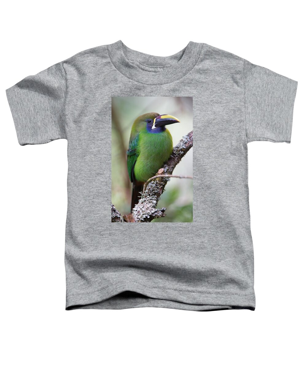 Emerald Toucanet Toddler T-Shirt featuring the photograph Emerald Toucanet by Max Waugh