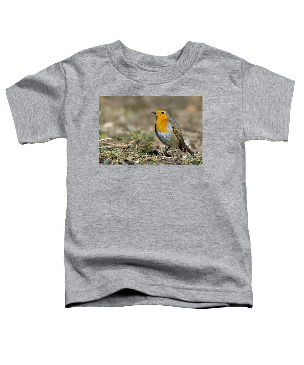 European Robin Toddler T-Shirt featuring the photograph European Robin by Torbjorn Swenelius