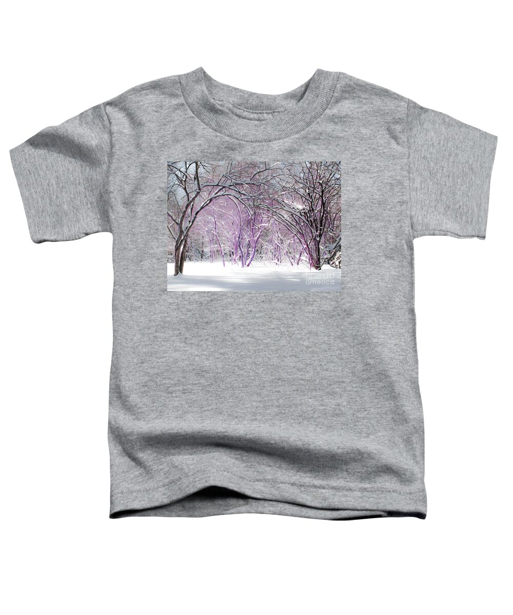 Winter Toddler T-Shirt featuring the photograph Fairies Winter Wonderland by Barbara McMahon