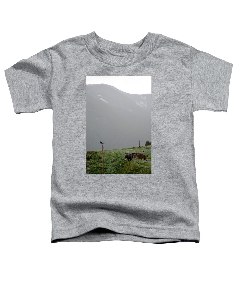 Horses Toddler T-Shirt featuring the photograph Family of horses in the Pyrenees by Toby McGuire