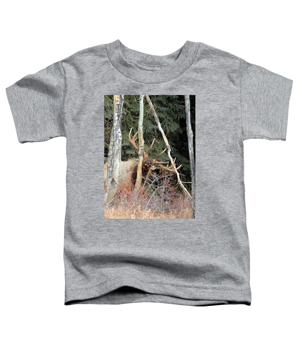 Elk Toddler T-Shirt featuring the photograph Feels So Good by Shane Bechler