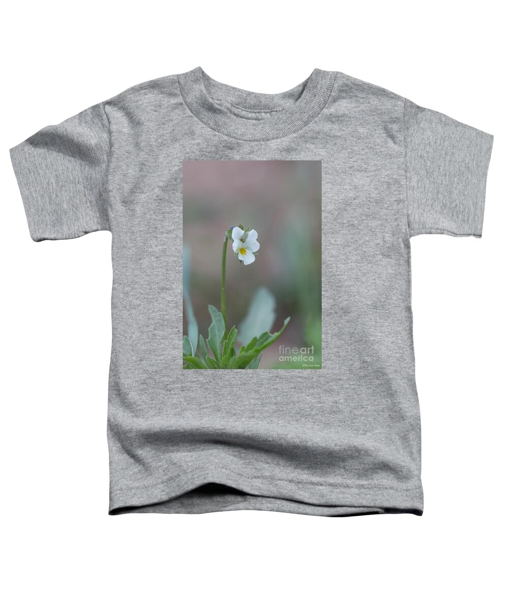 Bulgaria Toddler T-Shirt featuring the photograph Field pansy - white viola by Jivko Nakev