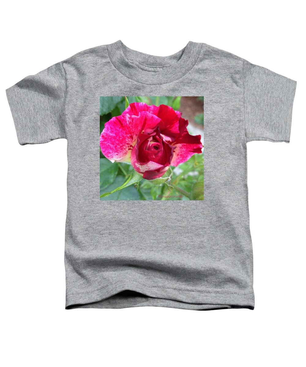 Red Toddler T-Shirt featuring the photograph Fleurie - Rosebud by Anna Porter